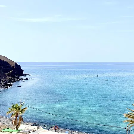 Barca Palms La Lajita